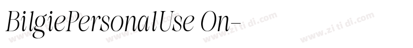 BilgiePersonalUse On字体转换